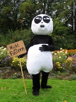 connichi 2007 anikaneda com 337