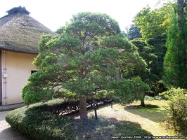 japanjourney2006 1163